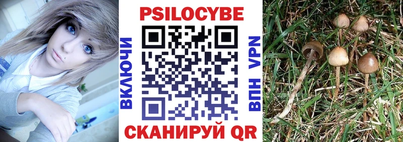 дарнет шоп  Оха  Псилоцибиновые грибы прущие грибы 